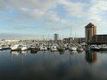 Swansea